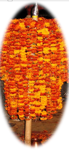 साहित्य